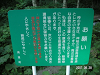s_PICT0364_thumb.png